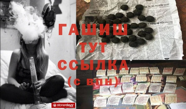 крисы Каменка