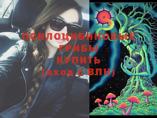 МДПВ Иннополис