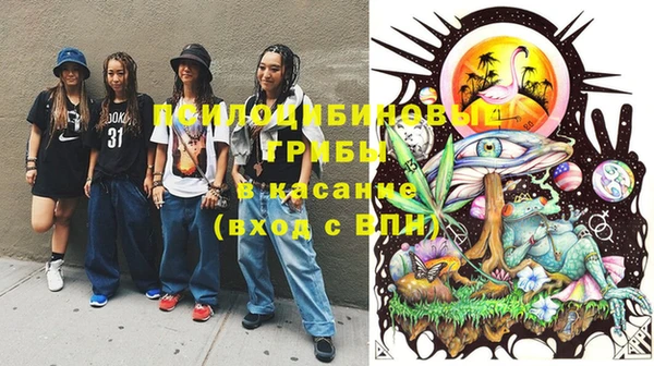бошки Инсар