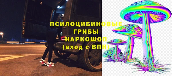 МДПВ Иннополис
